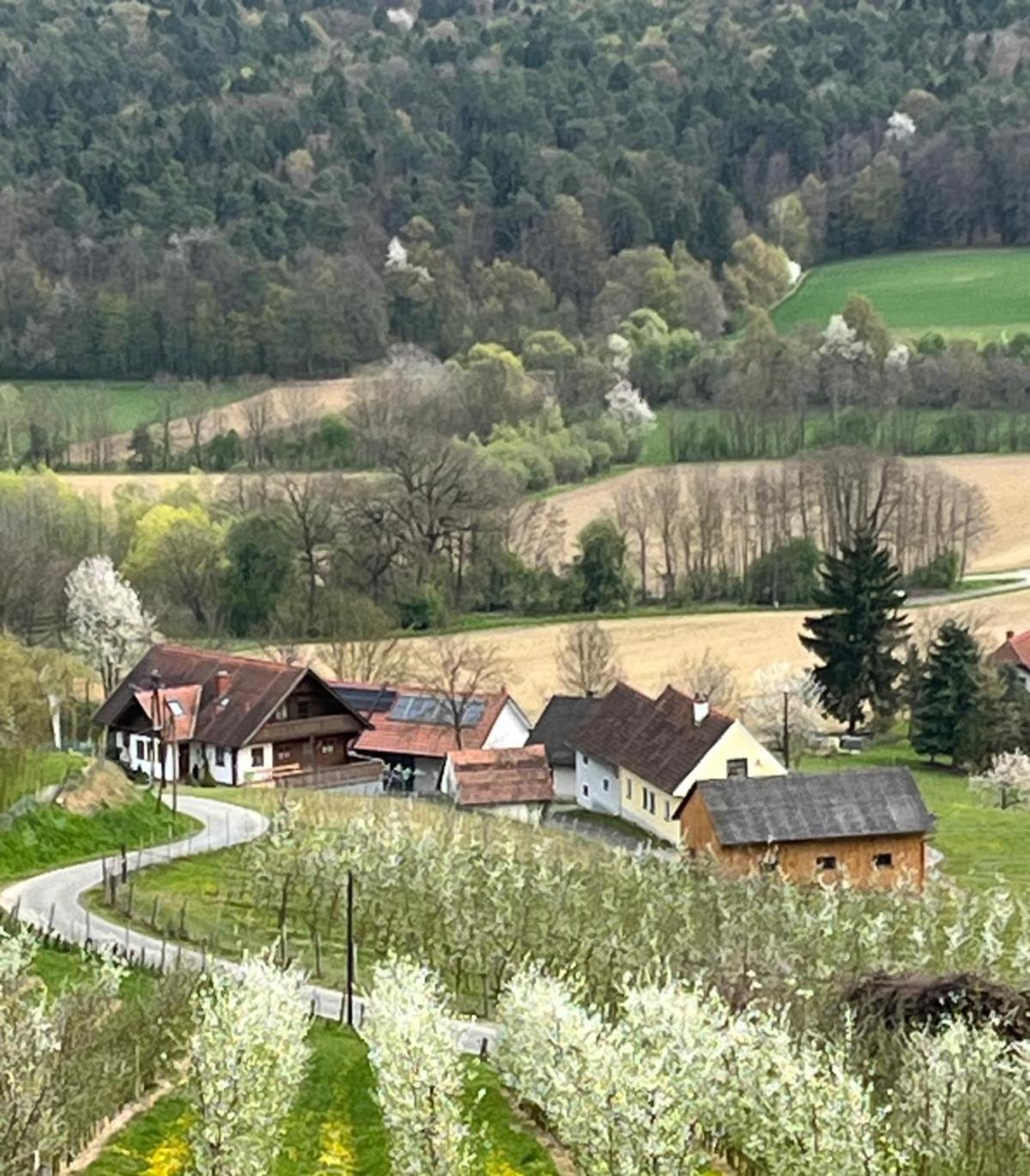 Gaestehaus - Camping- Weinhof Radl Kloch Exterior photo